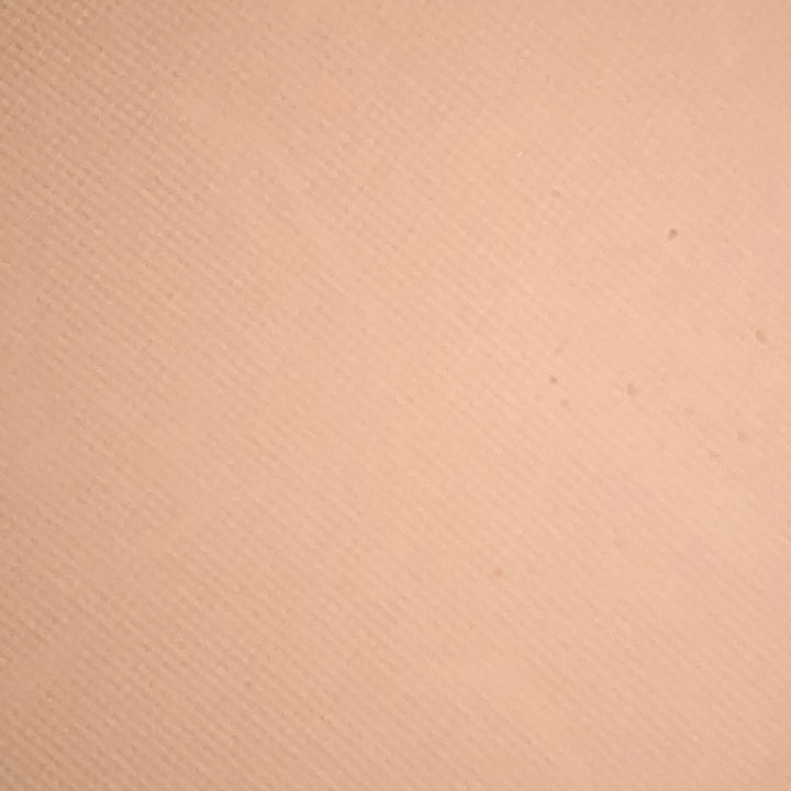 Natural Dual Face Powder