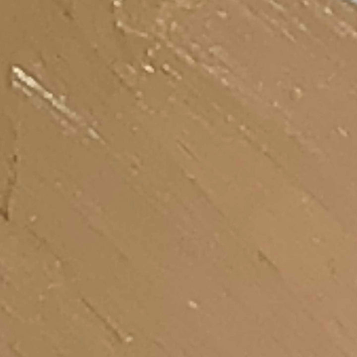 Perfection Concealer
